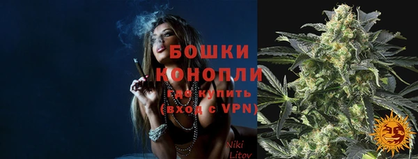 стаф Волоколамск
