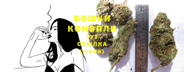 индика Семикаракорск