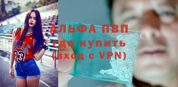 стаф Волоколамск