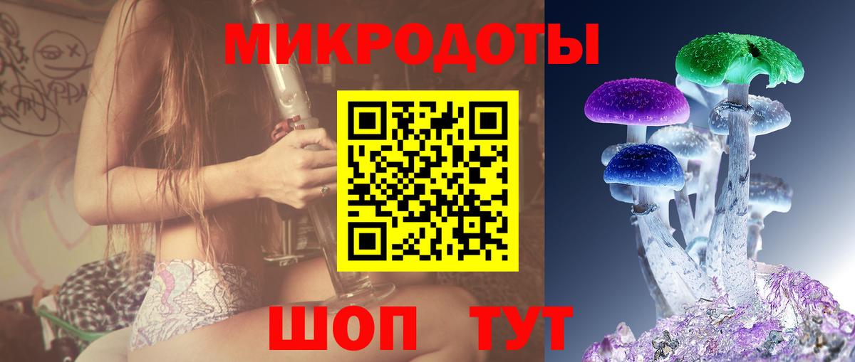 Дмитров  Галлюциногенные грибы Magic Shrooms  сколько стоит  Вход с VPN 