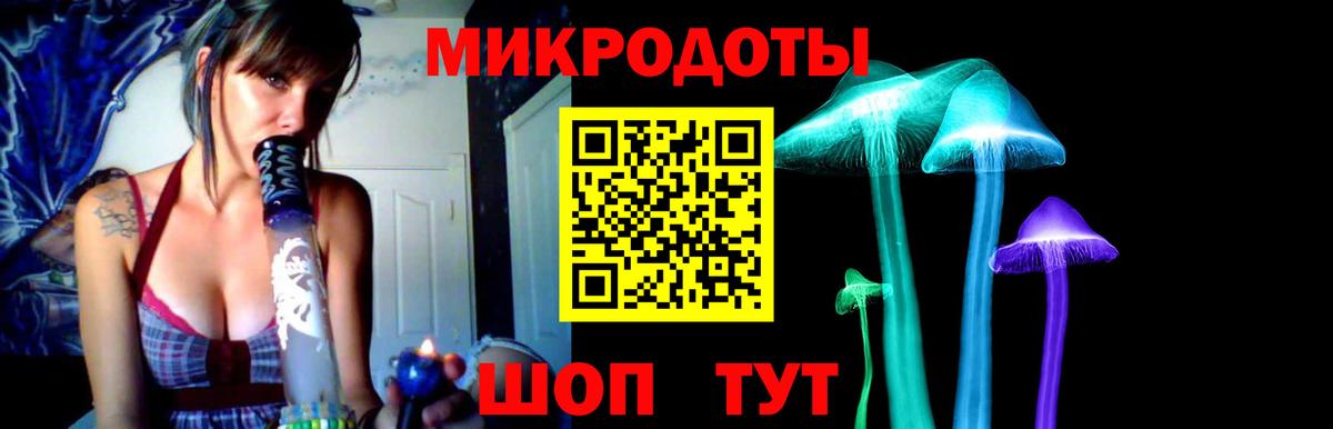 Псилоцибиновые грибы Magic Shrooms  купить закладку  Дмитров 